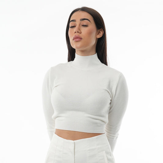 Turtle Neck Long Sleeve Knit Crop Top