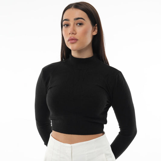 Turtle Neck Long Sleeve Knit Crop Top | Black