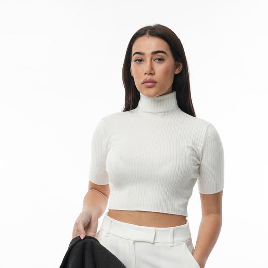 Turtle Neck Short Sleeve Knit Crop Top