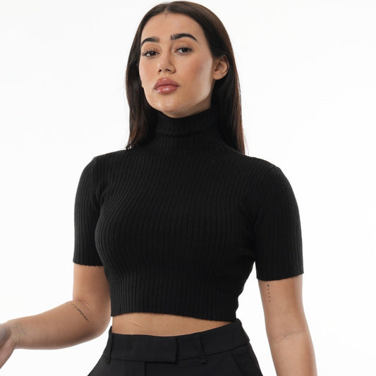 Turtle Neck Short Sleeve Knit Crop Top